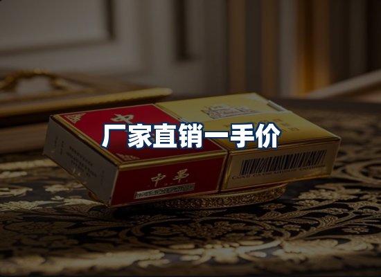 专业团队办公环境